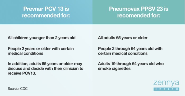 Zennya health | Everything You Need to Know About the Pneumococcal Vaccine