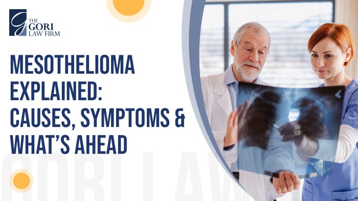 Pleural Mesothelioma | Causes, Symptoms, Treatment and Top Doctors