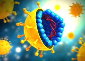 Shock and hemorrhage | PPT