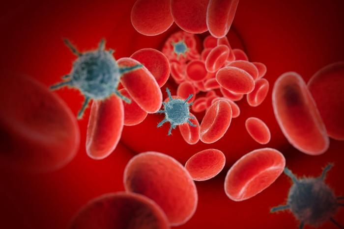 Viremia: Definition, causes, and symptoms