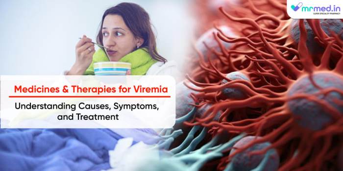 Medicines and Therapies for Viremia: Understanding Causes, Symptoms ...
